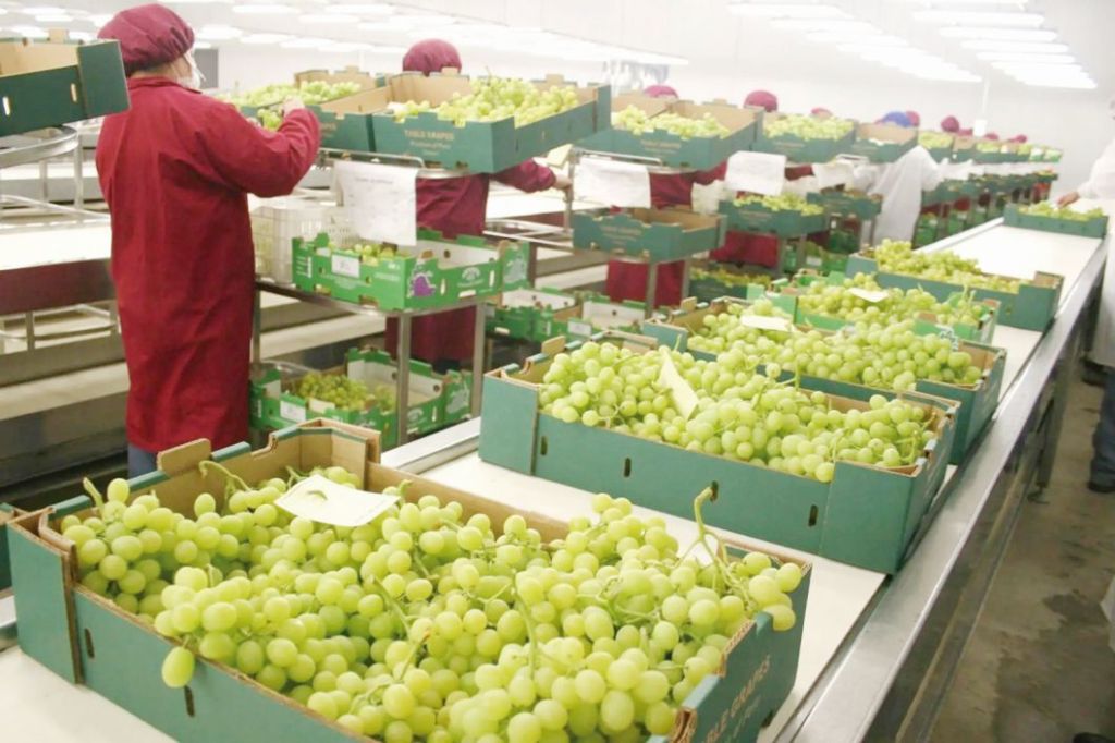 Mipymes concentran más del 90 % de las empresas exportadoras del&nbsp;país