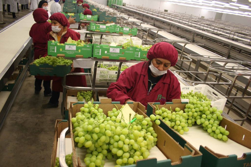 TLC con Hong Kong: lo que falta para abrir mercado a frutas y&nbsp;pisco