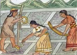 ADN antiguo revela migraciones preincaicas de larga distancia en el Perú
