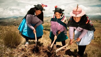 Disminuye la participación de las mujeres en el agro&nbsp;peruano